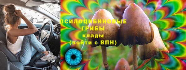 а пвп мука Алзамай