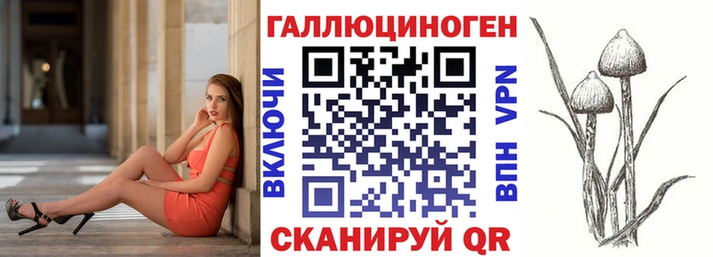 Галлюциногенные грибы Psilocybine cubensis  нарко площадка официальный сайт  Керчь  магазин продажи  